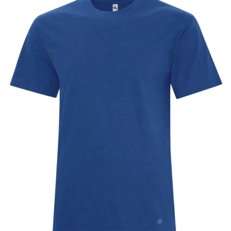 koi8060_lapis.webp #image_title